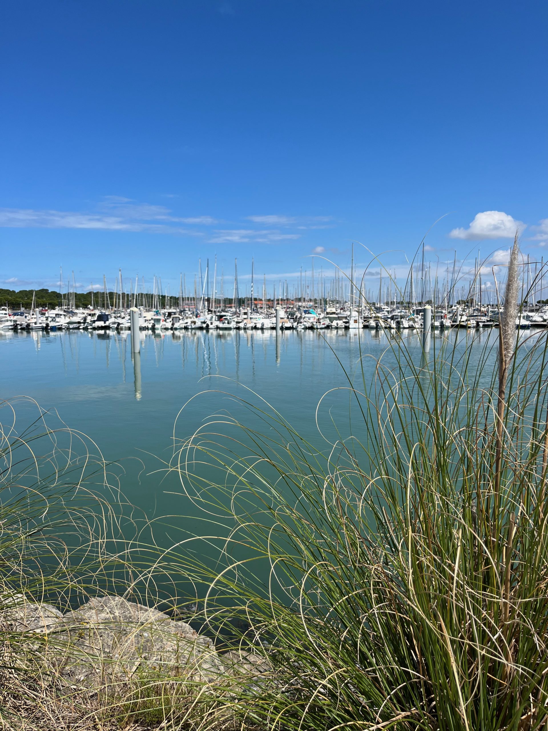 Que faire dans le Nord Médoc ? Au fil du voyage